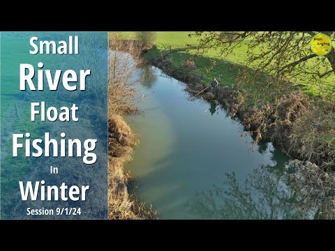 Simple Small River Float Fishing With Bread - Roving With The Stick Float - 9/1/24 (Video 460)