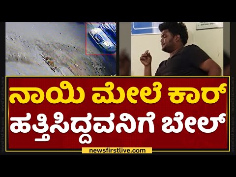 Dog Incident : ನಾಯಿ ಮೇಲೆ ಕಾರ್ ಹತ್ತಿಸಿದ್ದವನಿಗೆ ಬೇಲ್ | Siddapura | NewsFirst Kannada
