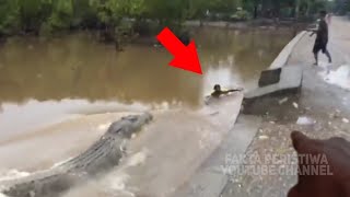 Download lagu HORRIBLE...!! Residents Run!! Suddenly, a Giant Crocodile Appears Chasing Its Prey! Watch Out! mp3