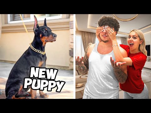 SURPRISING HIM WITH DOG NUMBER 5!! (MEET KRATOS)