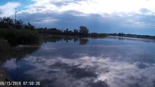 Ссылка