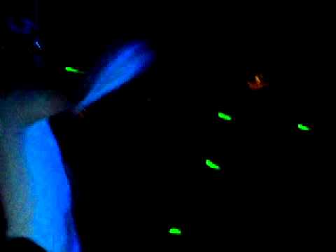 Le Central discotheque ( Mr Kingsize et Dr Yugo en live )