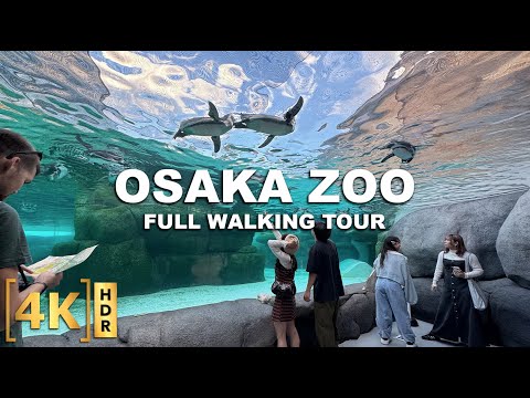 OSAKA TENNOJI ZOO - One of Japan's Oldest Zoos! Since 1915! | Full Walking Tour 2025