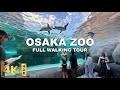 OSAKA TENNOJI ZOO One Of Japan S Oldest Zoos Since 1915 Full Walking Tour 2025