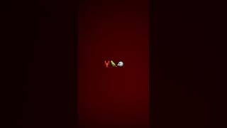 6 year-old girl’s opinion of Meigs Point Nature Center in Madison, CT