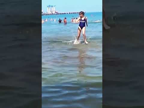 Анапа. Акула, акула... 😂🤣🤣🤔🦈