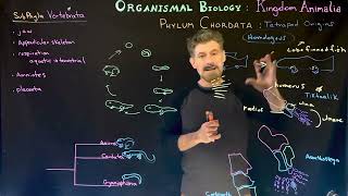 Tetrapod origins and Amphibia