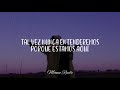 Hello Seahorse - Criminal (Letra)