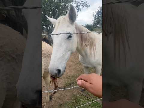 Monteagudo la 2da ciudad más importante de Chuquisaca #Bolivia #paisajes #naturaleza #turismo