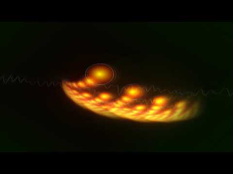 D Bomb   składka 2016