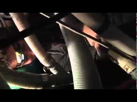 Portrait du chef mécanicien de Tara