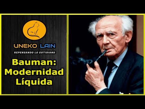 Modernidad Líquida en 12 minutos  xD