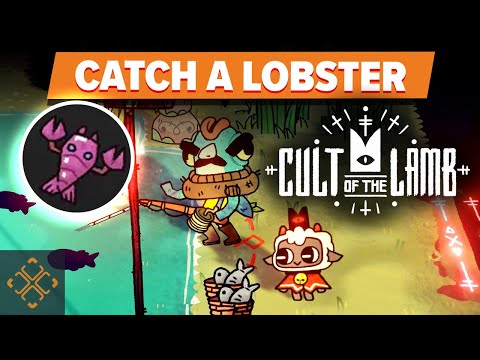 Cult Of The Lamb: How To Catch Squids, Lobsters, and Octopuses