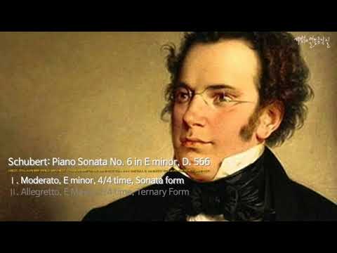 Schubert: Piano Sonata No. 6 in E minor, D. 566-Ⅰ. Moderato