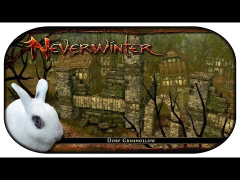 NEVERWINTER: Paladin-LP 🐇 33 - Ein Grab für Grabräuber