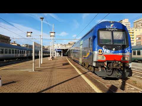 R 11239 Savona - Sestri Levante