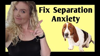 How to Stop Your Dog’s Separation Anxiety (using SCIENCE)