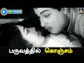 பருவத்தில் கொஞ்சம் Paruvathil Konjam Video Song HD MGR Shaukar Jan