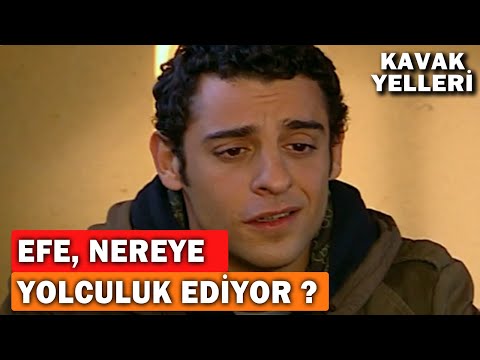 Efe, Hayvanlarla Nereye Yolculuk Ediyor! - Kavak Yelleri 32.Bölüm