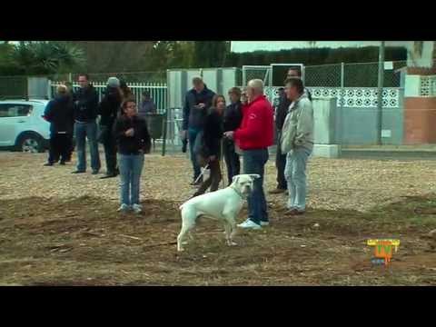 21/02/15 – La Nucía pone en marcha el primer parque recreativo canino en Urb.Bello Horizonte