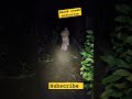 SEREM Penampakan Nenek Nenek Misterius Di Hutan Horoscope Serem Hantu Penampakan Shorts Grandma