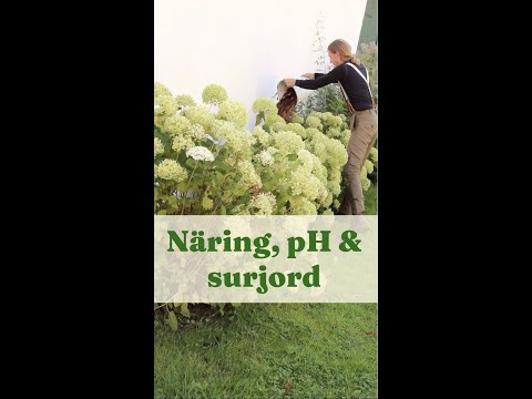 Näring, pH och surjord - Trädgårdshacks med GardenR