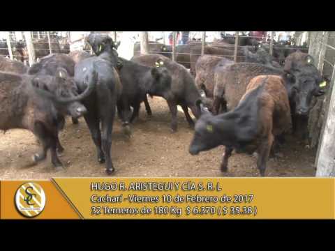 10-02-17 - Venta de Macho - Hugo R. Aristegui y Cia - Cacharí