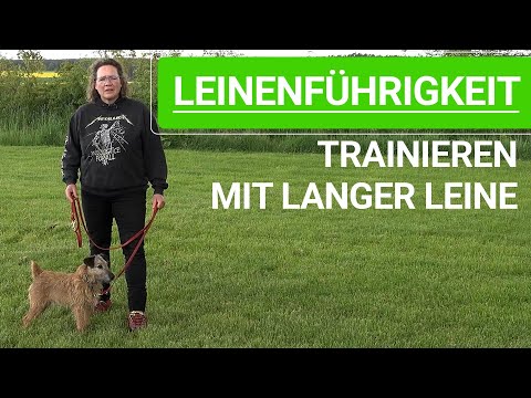 🐕🐶 Leinenführigkeit trainieren, mit langer Leine! ➡️ Praxisvideo 🐕🐶✔️
