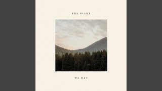 the night we met
