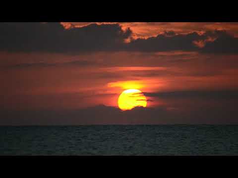 Daniel und die Offenbarung durchforschen | Tägliche Andacht | 22. Jänner