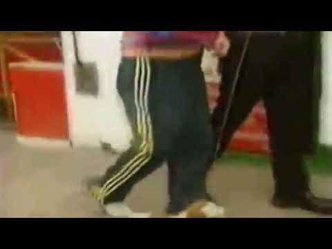 Los sultanes-Decile que lo quiero   Remix