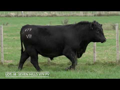 Lot 18  SEVEN HILLS V79 PV
