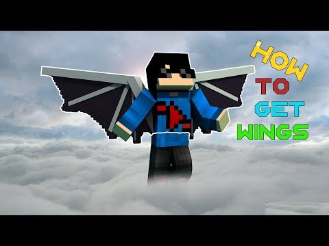 ItzMega - How to get DRAGON WINGS in Minecraft😀