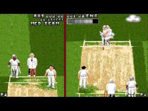 Ian Botham's Cricket picture