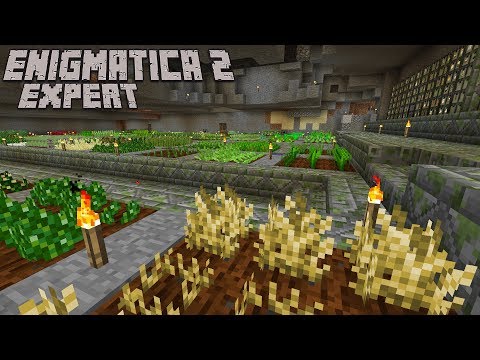 Automating Deluxe Chicken Curry Pt.1  : Enigmatica 2 Expert Lp Ep #11 Minecraft 1.12