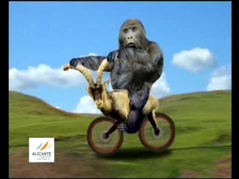 Nuevo spot VISIONLAB