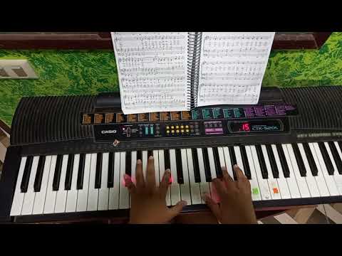 441, Yo soy un corderito