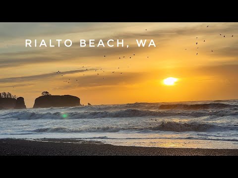 Beach Wave Recordings at Rialto Beach