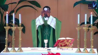Download lagu La Sainte Messe du jour | Jeudi, 3ème Semaine du T. O. | 29-01-2026 |  P. Sylvestre Beladjolo, FM mp3
