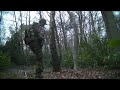 Airgun Hunting Early Morning Wood Pigeons 23 04 16