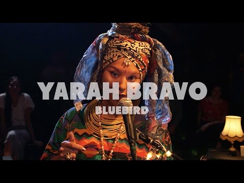 Yarah Bravo - Bluebird | Live at Music Apartment