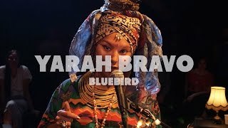Yarah Bravo - Bluebird | Live at Music Apartment