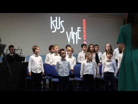 (3)Auzi ingerii in cor