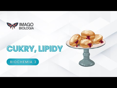 Cukry i lipidy