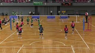 大接戦！ 関西福祉 VS 広島文化学園 西日本インカレバレー 2025