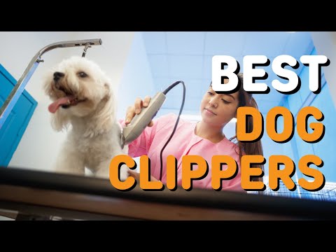 Best Dog Clippers in 2022 - Top 5 Dog Clippers