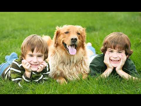 As Crianças E Os Animais - Os Abelhudos