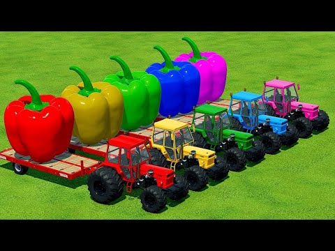 LOAD & TRANSPORT GIANT PEPPERS WITH COLORFUL  FIAT TRACTORS - Farming Simulator 22