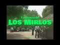 Los Mirlos - La Danza de Los Mirlos / Cumbia de Los Pajaritos (Video Oficial HD Remaster) (Infopesa)