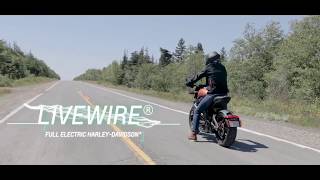 Privateers Harley-Davidson - The 2020 LiveWire®